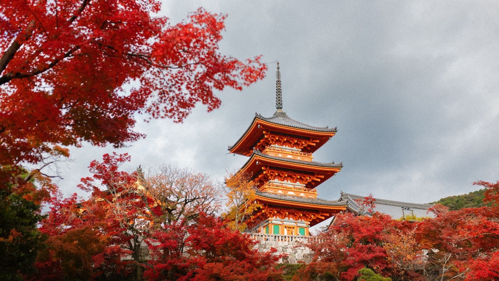 Autumn in Kyoto