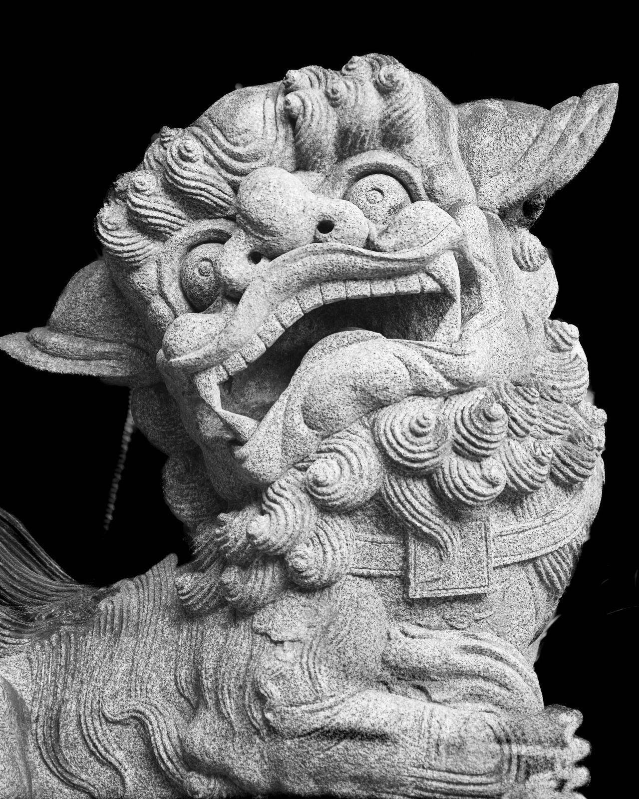The Dragon Who Forgot How to Fly