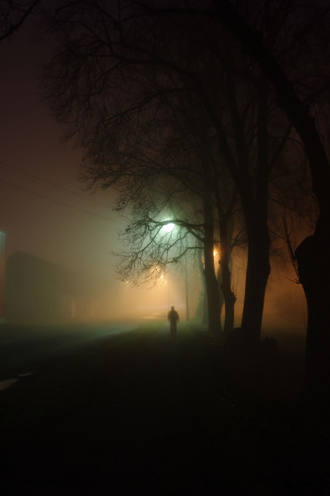 The Vanishing Hour